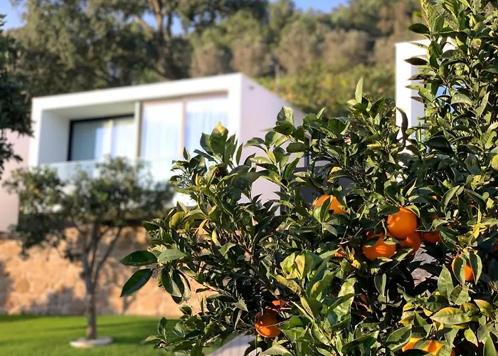 Portovella & Bed & Breakfast Pala